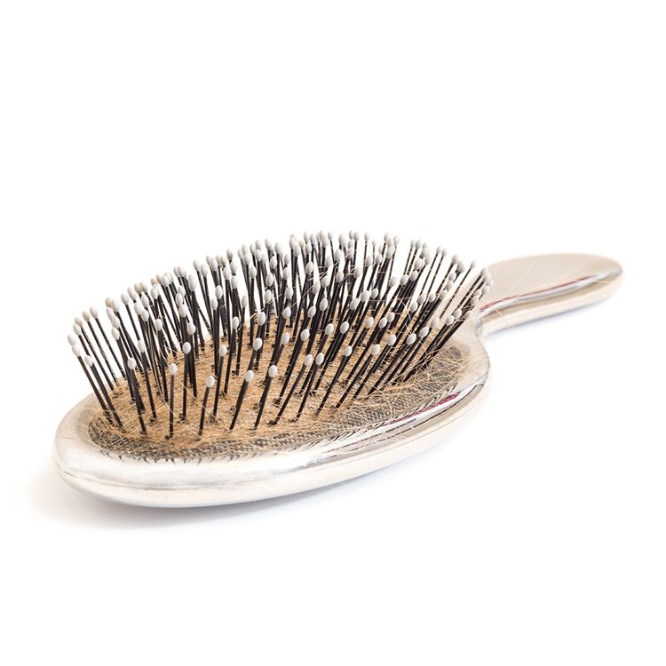hairbrush