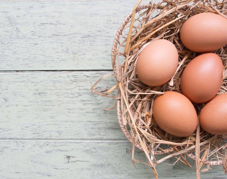 Eggs