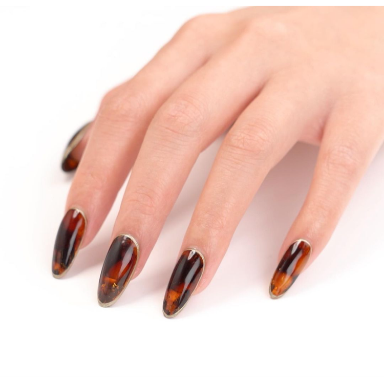 Tortoiseshell