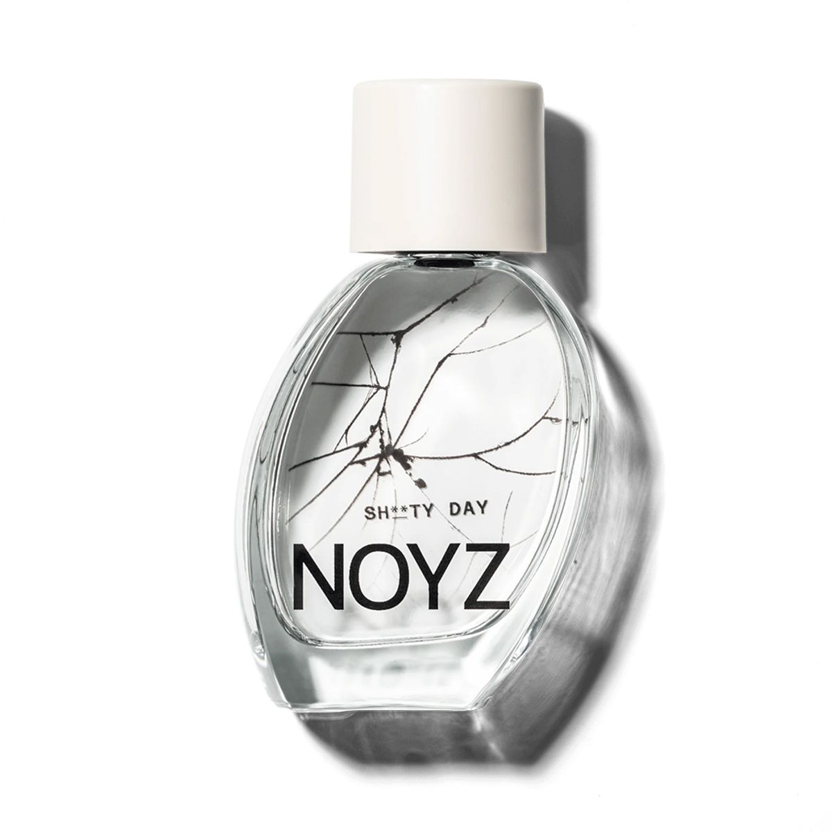 noyz sh**ty day
