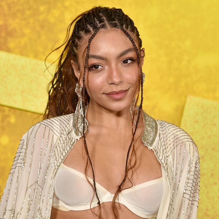 Any Gabrielly mermaid braids ponytail