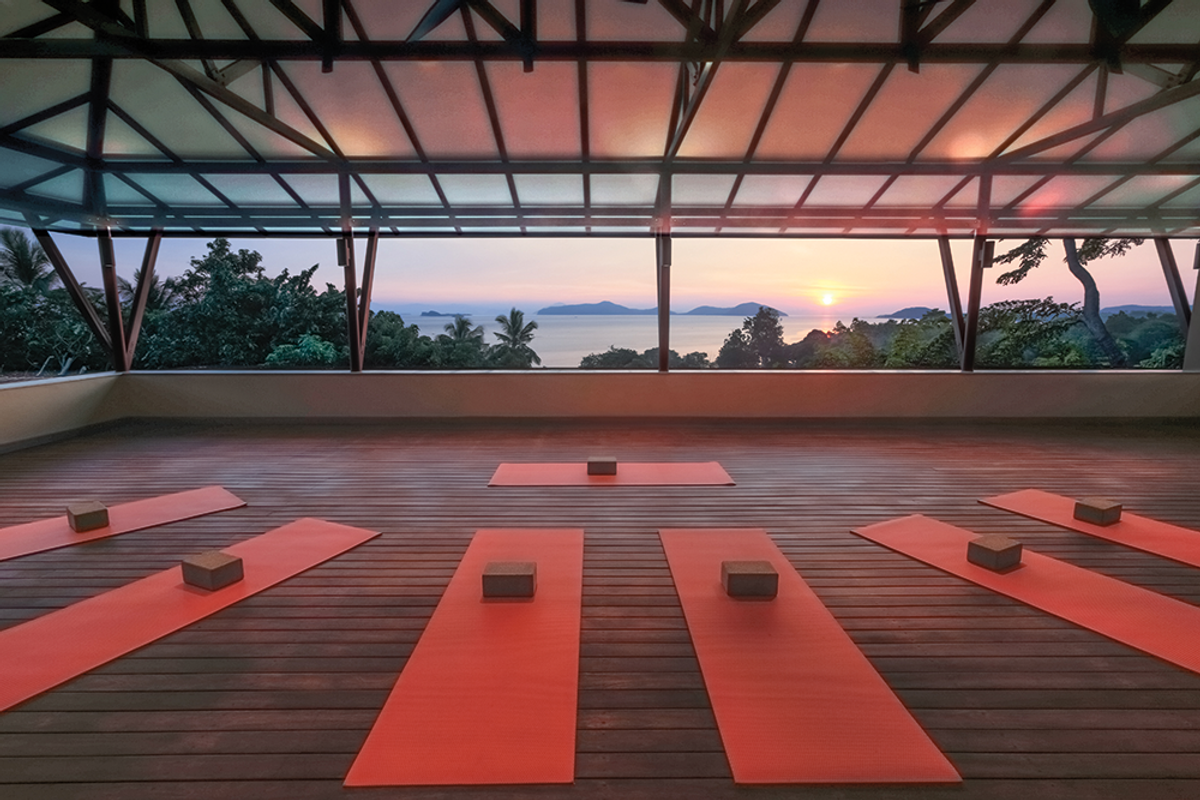 wellnessmain