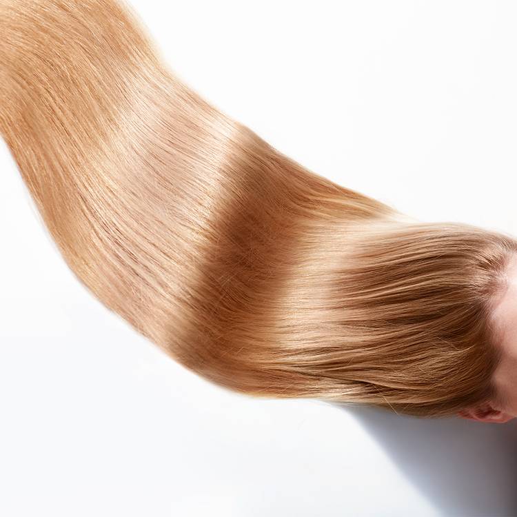 longhair