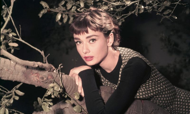 Actress Audrey Hepburn Leaning on Tree