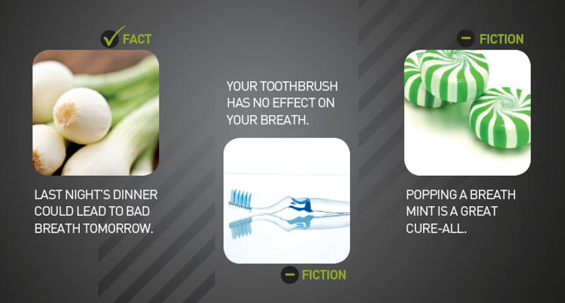 Fact Or Fiction Newbeauty