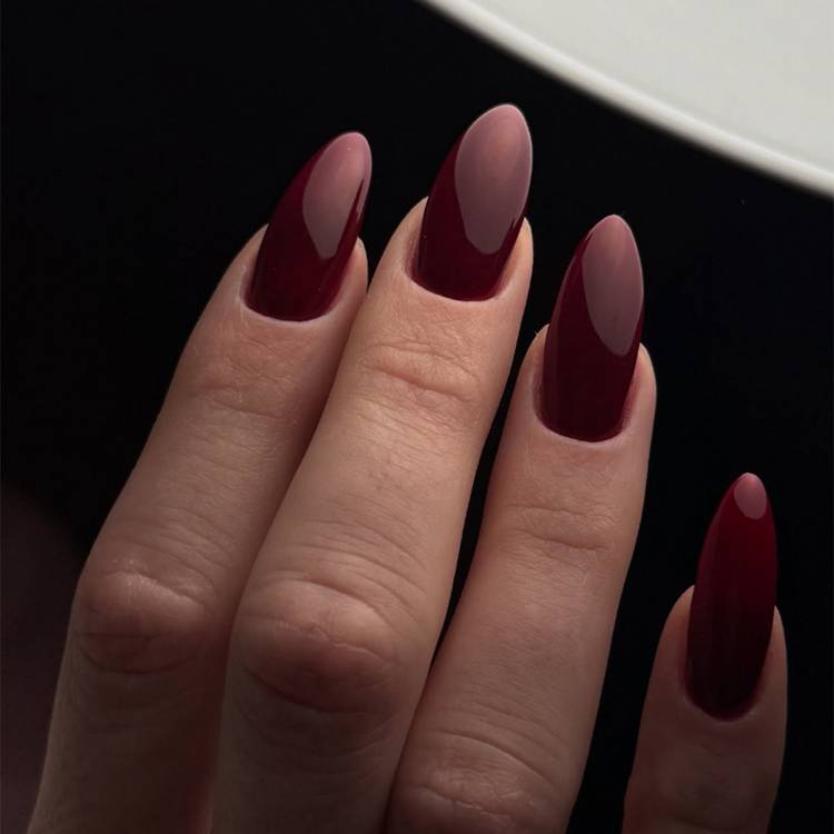 Warm Berry and Rich Wine Hues