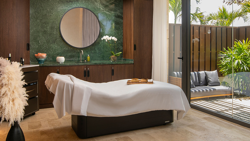 Exploring the Healing Power of Moringa at Casa de Campo