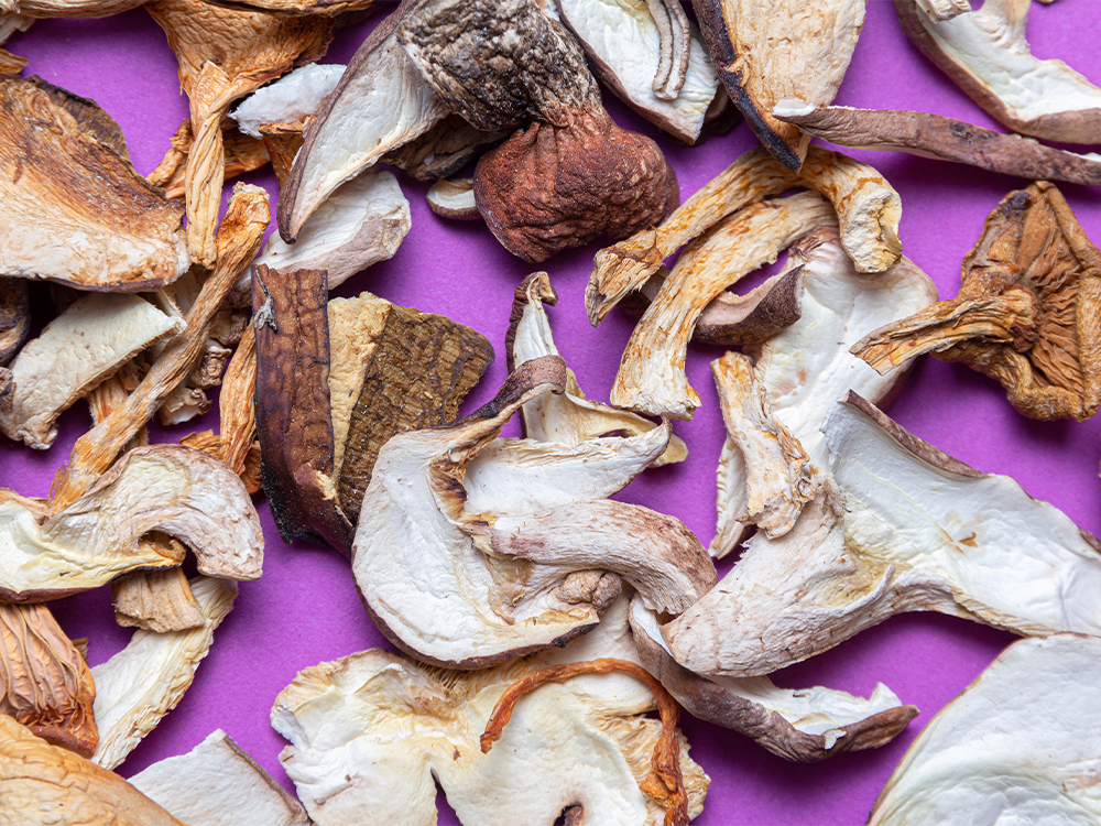 The Benefits of Mushrooms in Beauty and Wellness, Explained