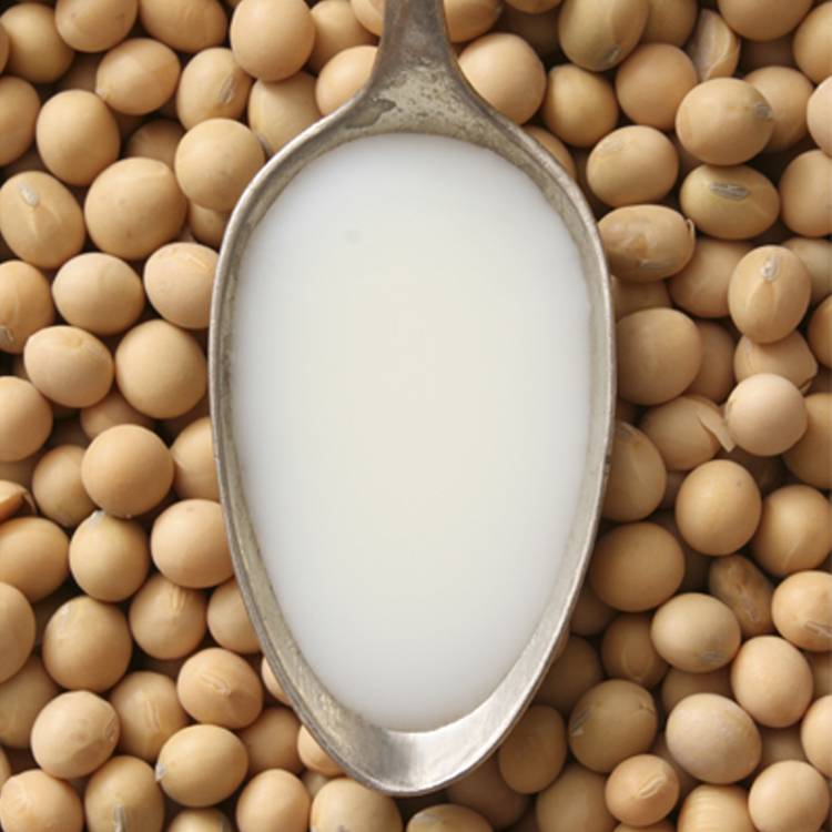 Soy