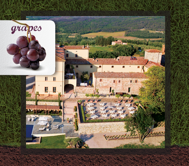 Tuscan Therapies