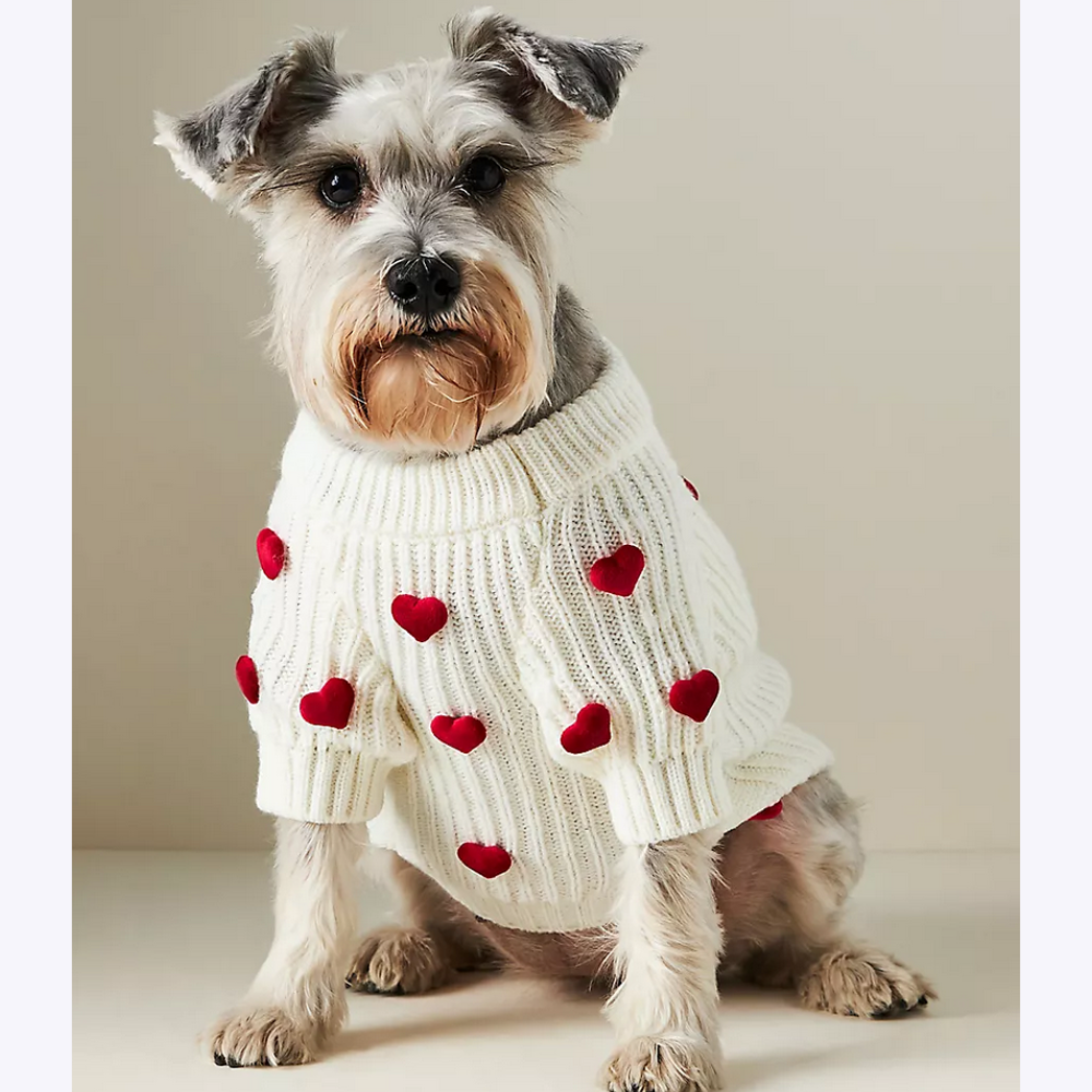 Anthropologie 3D Motif Pet Sweater ($64)