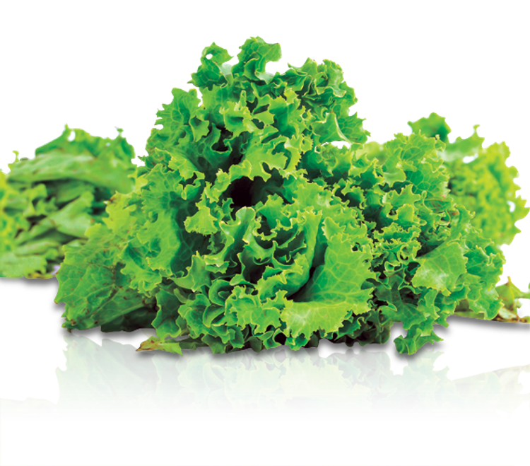 If You Constantly Diet