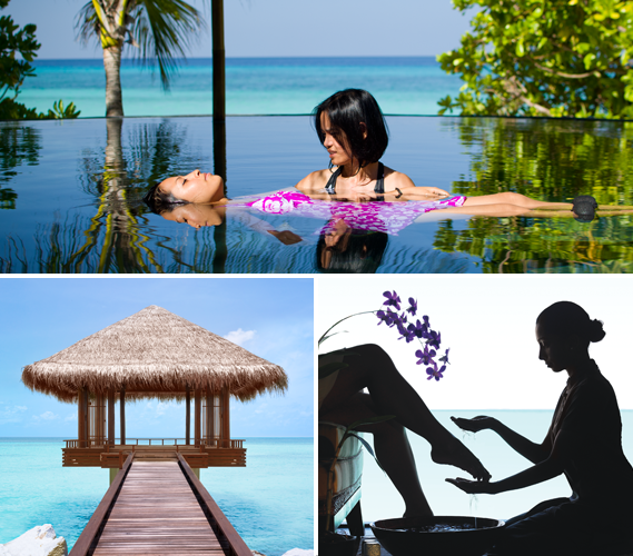 The Specialty Service