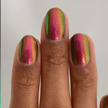 Mooncat Jewel Beetle