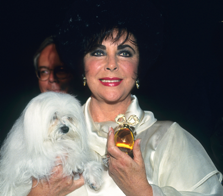 Elizabeth Taylor