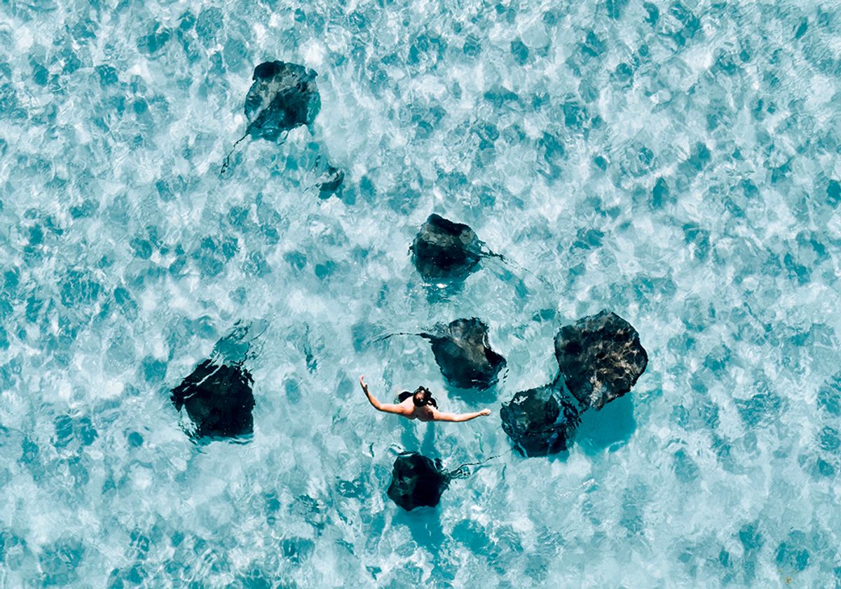 the ritz carlton grand cayman swimming with stingrays