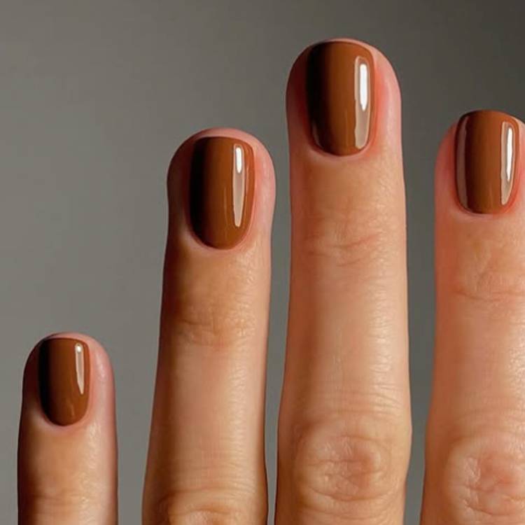 Chestnut Chocolate