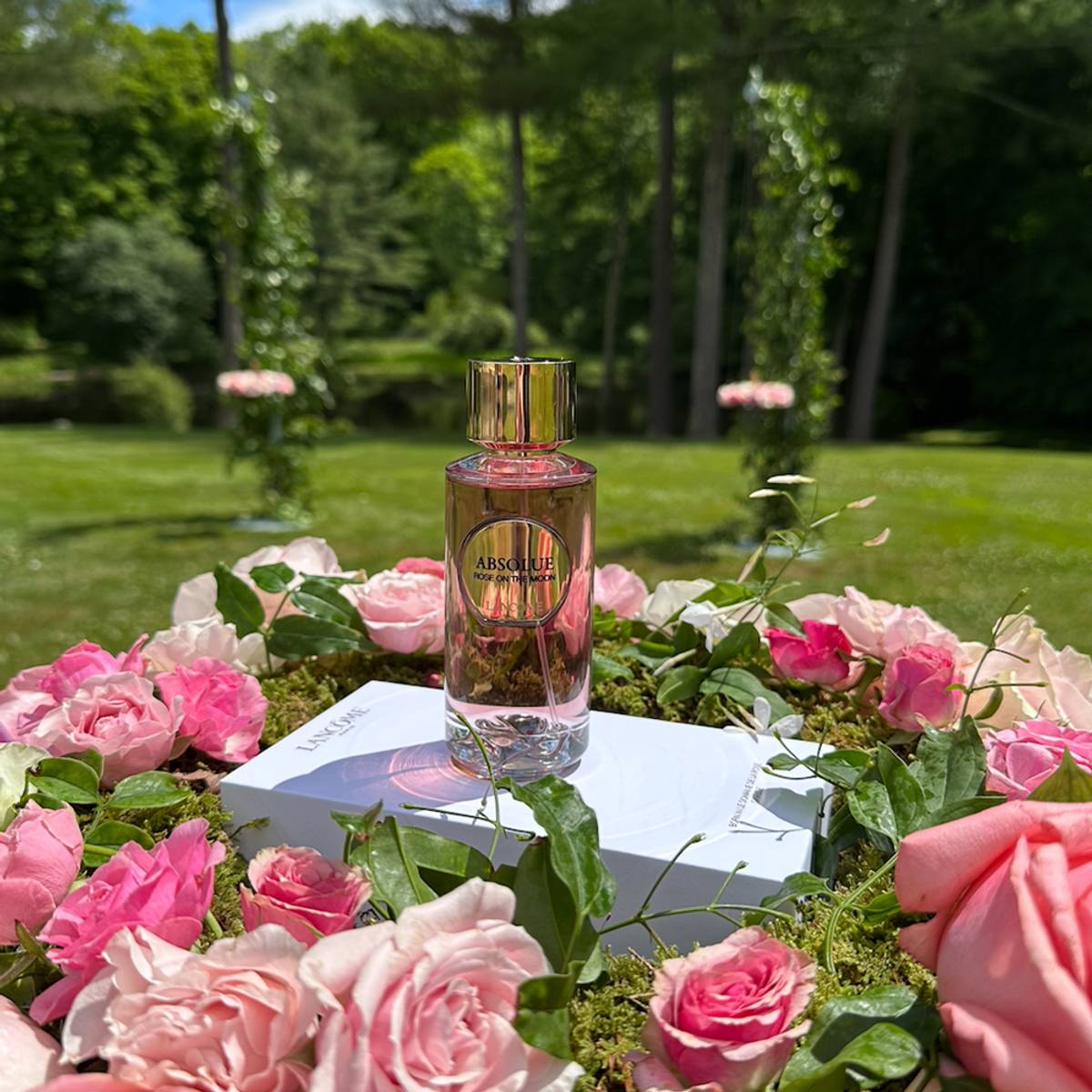 lancome-absolue-rose-on-the-moon-fragrance