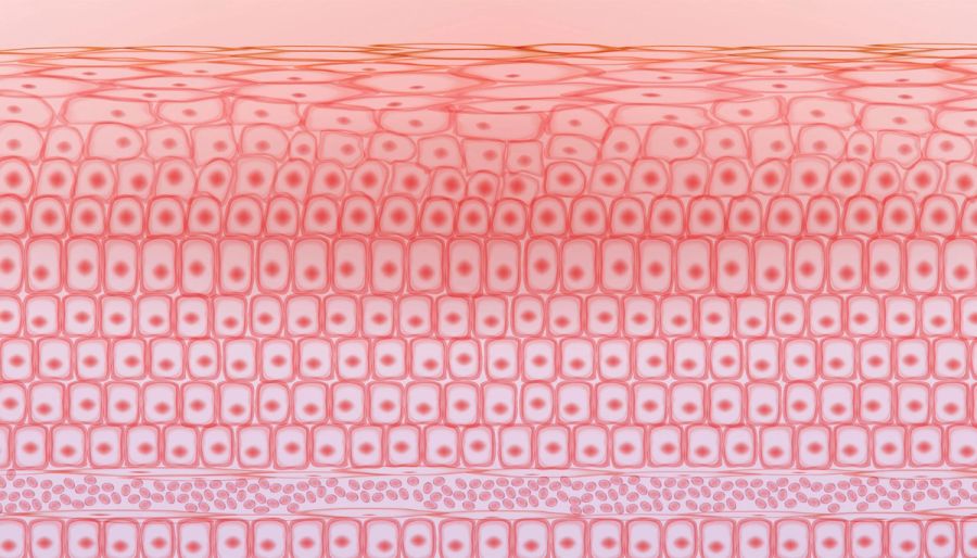 What’s the Difference Between RF Microneedling and Traditional Microneedling?