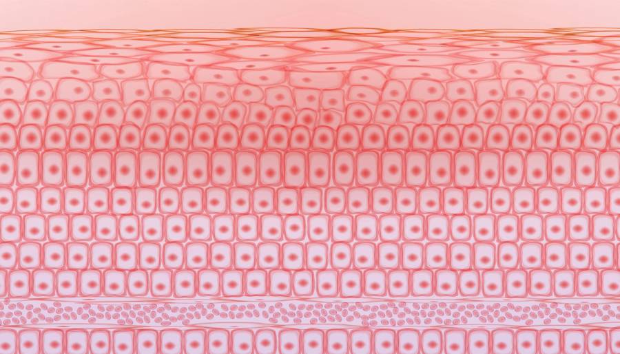 What’s the Difference Between RF Microneedling and Traditional Microneedling?