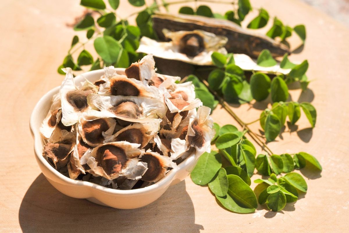 shutterstock 389869906