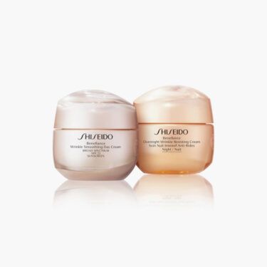 Shiseido Benefiance Wrinkle Smoothing Day To Night Set