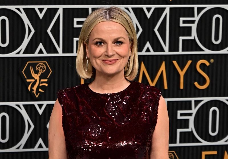 amy poehler emmys