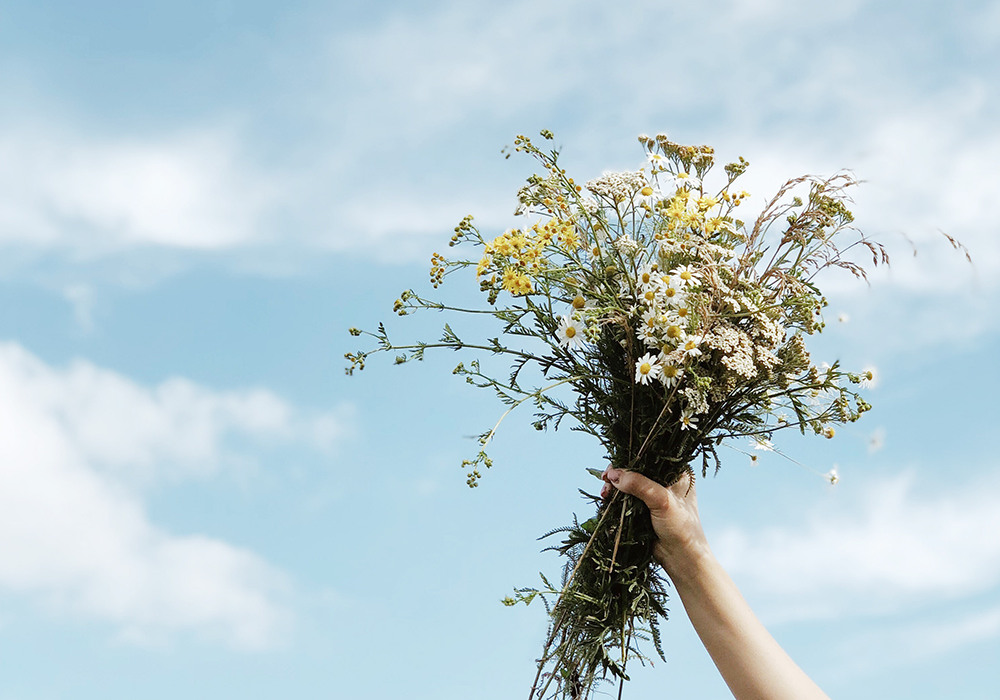 Flower Power: The Benefits of 6 Key Floral Extracts in Skin Care