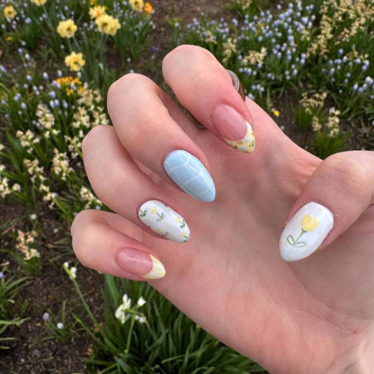 Springtime Tulips