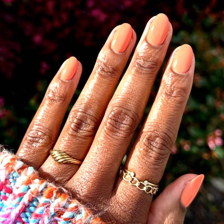 Summer Sorbet