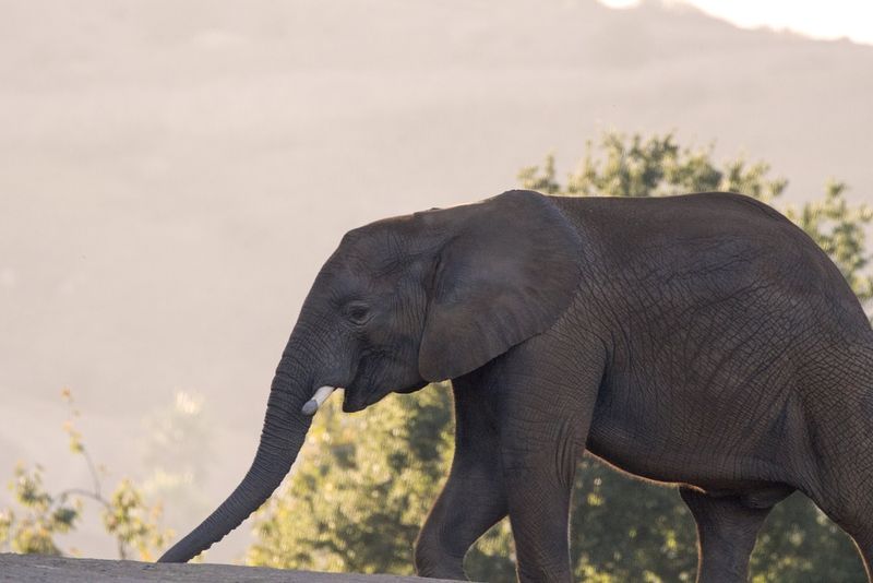 shutterstock 473825815