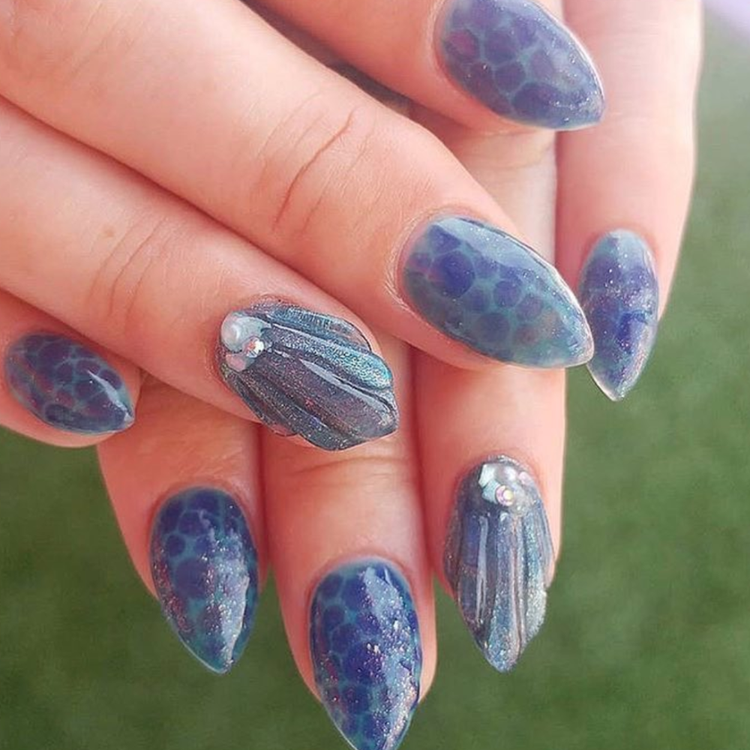 She Sells Seashells