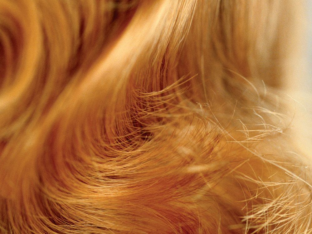 What’s Trending in the World of Hair Treatments