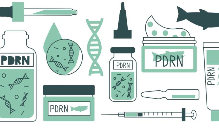 Flat illustration in teal and dark green showing a collection of PDRN (polynucleotides) skin-care products