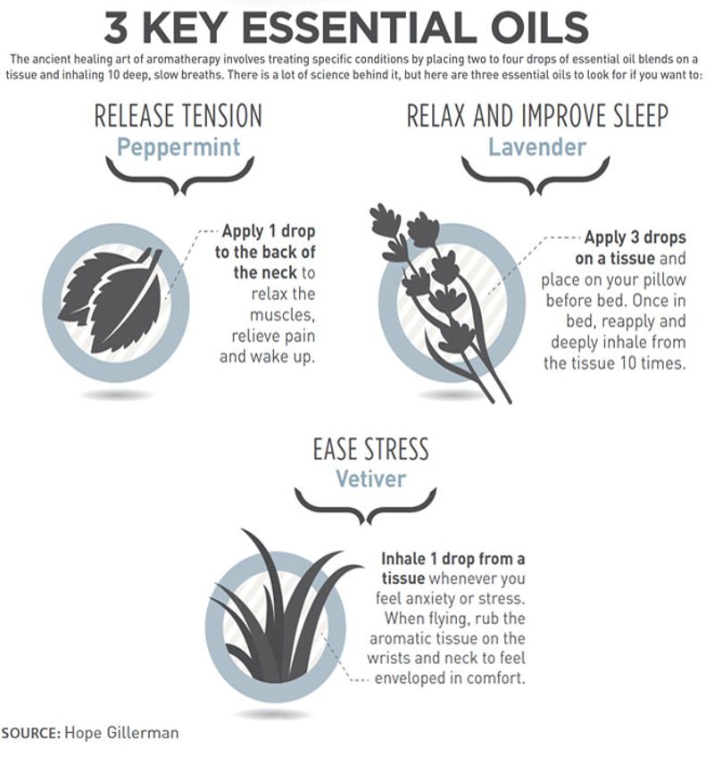 3 Key Essential Oil Infographic