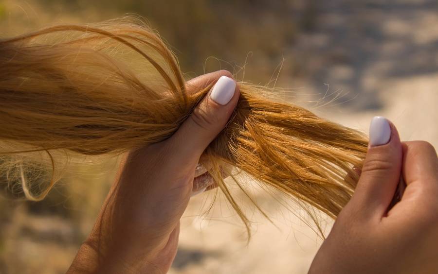 hair cuticle