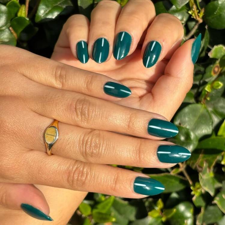 Pine Needles
