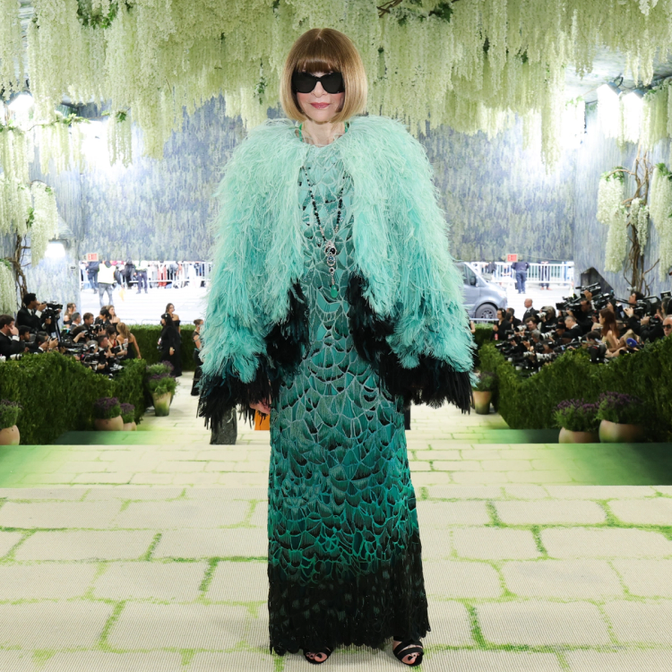Anna Wintour at the 2026 Met Gala