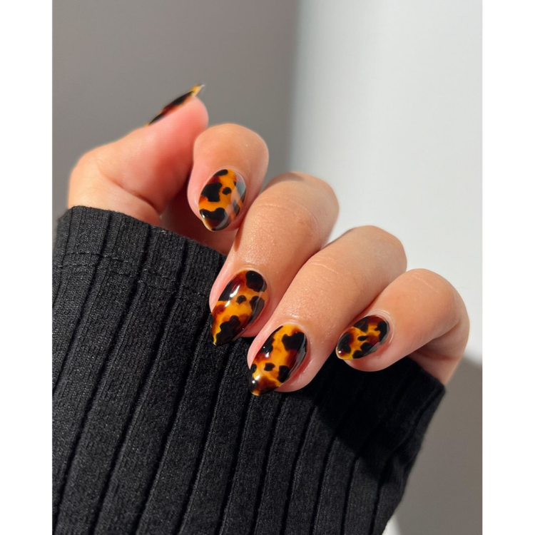Tortoise Shell