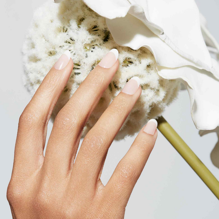 Static Nails French 75 Round ($18)