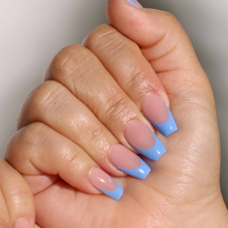 Blue Frenchies