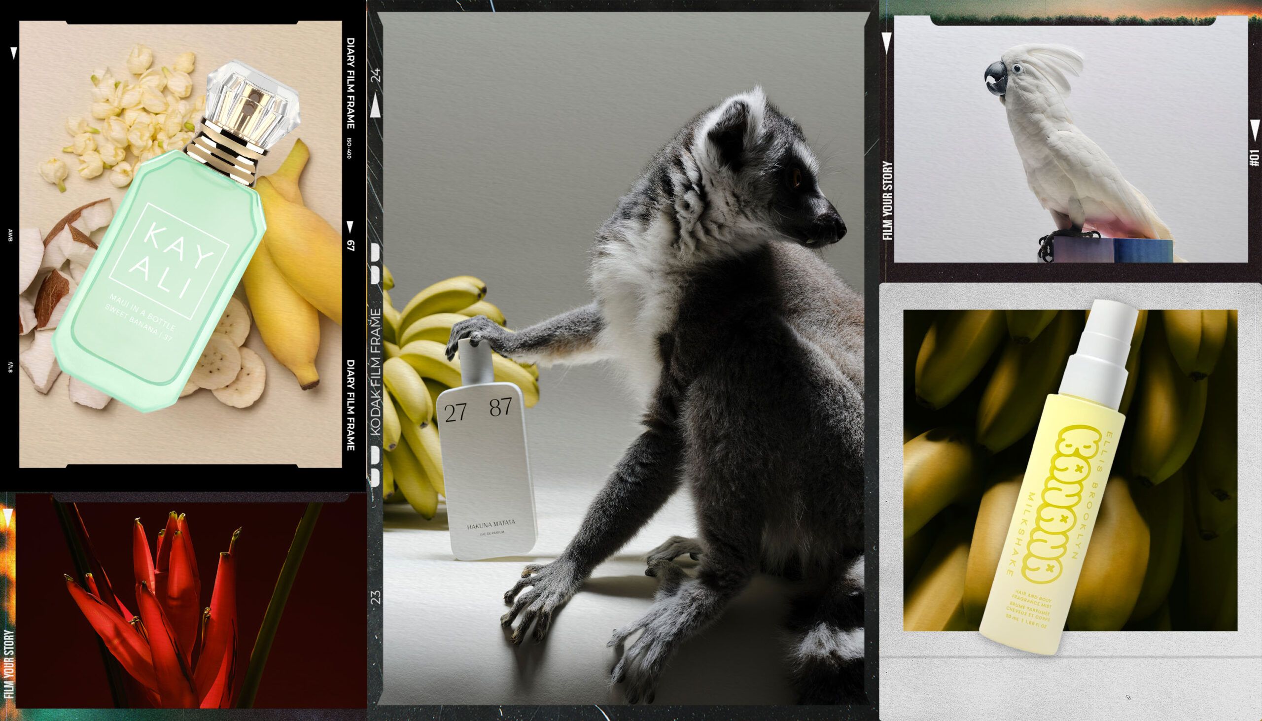 7 Playfully Nostalgic Banana Perfumes to Try This Summer