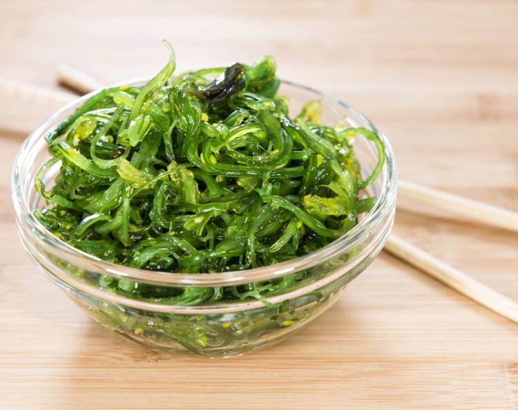 Kelp