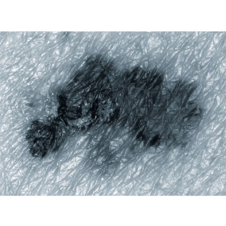 Slide 4