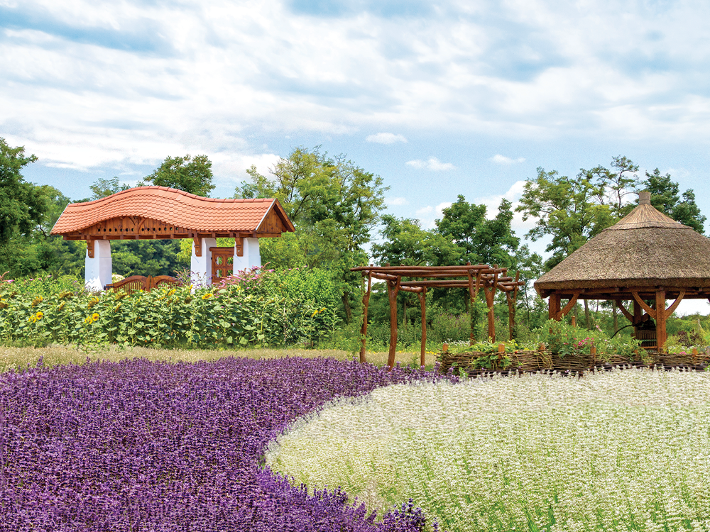 How Small Beauty Brands Are Making a Big Difference for Our Planet