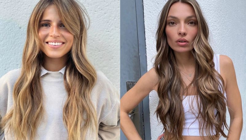 champagne highlights