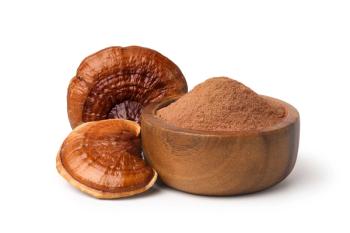 reishi mushrooms and powder