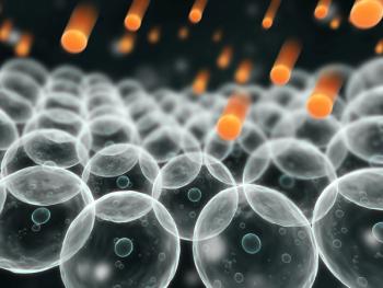 Layn Natural Ingredients introduces new antioxidant extract