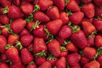 Healthy aging: Can fisetin fight zombie cells?