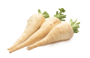 parsnip